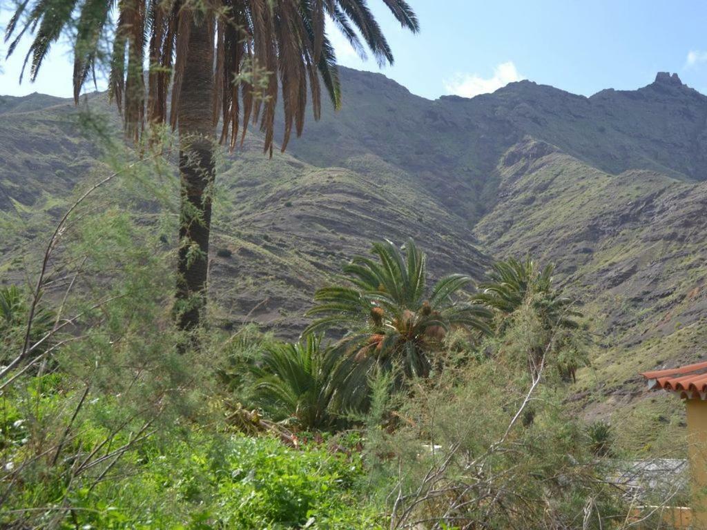 Casa Los Palmeros Perdomo Alojera Kültér fotó